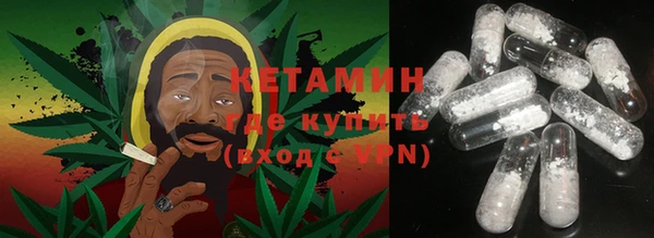 крисы Каменка