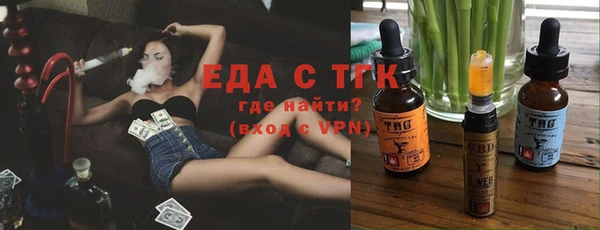 хмурый Аркадак