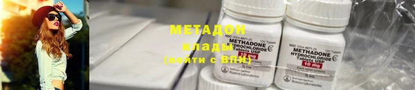 хмурый Аркадак