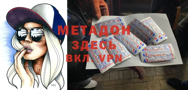 хмурый Аркадак