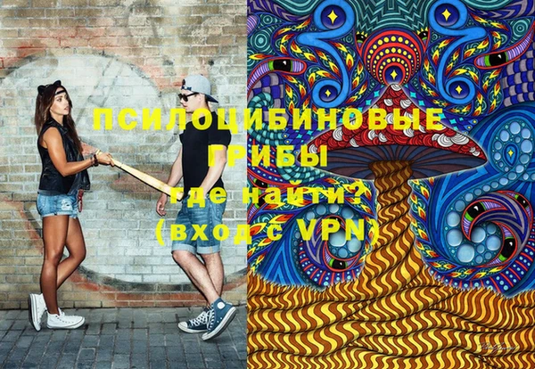 мяу мяу мука Елизово