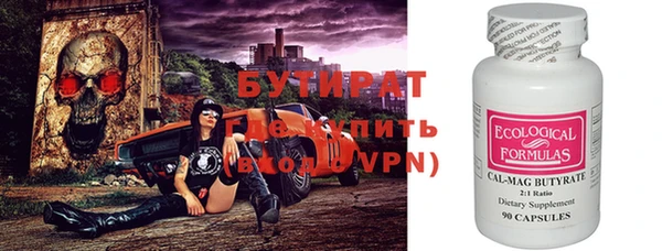 хмурый Аркадак